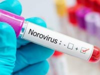 Nörovirüs nedir?