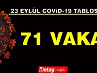 45’i yerel, 71 pozitif vakaya rastlandı