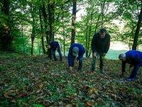 Bosna Hersek'te Kestane Toplama Mevsimi Renkli Görüntülere Sahne Oluyor