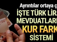 Türkiye Bankalar Birliği Başkanı anlattı; ''TL mevduatlarında kur farkı'' sistemi nasıl işleyecek ?