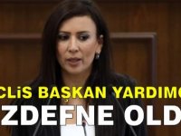 Meclis Başkan Yardımcılığı’na Fazilet Özdenefe seçildi