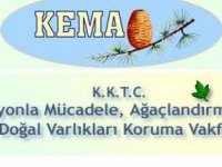 KEMA: Yasalar ve Cezaların Caydırıcı Olacak Şekilde Güncellenmesi Gerek