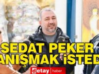 Halil Falyalı'nın kardeşi ilk kez konuştu: 'Sedat Peker tanışmak istedi'