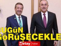 Ertuğruloğlu, bugün, Türkiye Dışişleri Bakanı Mevlüt Çavuşoğlu ile bir araya gelecek