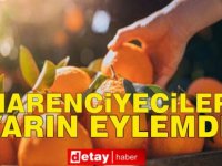 Kıbrıs Türk Narenciye Üreticiler Birliği yarın Güzelyurt’ta eylem yapacak