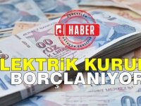 Elektrik Kurumu 50 Milyon TL borçlanıyor