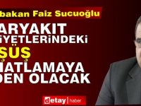 Sucuoğlu: Akaryakıt maliyetlerindeki düşüş rahatlamaya neden olacak