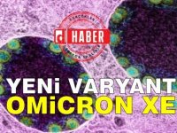 Corona virüsünde endişe verici gelişme… Omicron’un yeni varyantı çıktı: Omicron XE