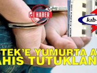 Kıb-Tek'e Yumurta Atan Şahıs Tutuklandı