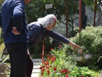 Lapta’da Cennetten Bir Köşe… Eşsiz Bir Bahçe Ve Sanat Atölyesi…