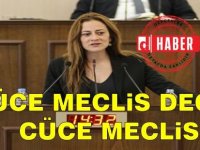 Derya: Yüce Meclis Değil, Cüce Meclis