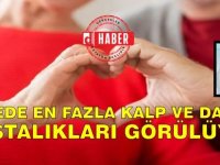 Ülkede en fazla kalp ve damar hastalıklarına bağlı hastalıklar görülüyor