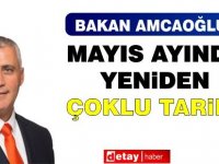 Amcaoğlu: Mayıs ayında yeniden çoklu tarife