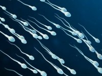 Uzmanlar açıkladı: Sağlıklı sperm için bu besinlerden uzak durun, torunlarınızı da etkileyebilir