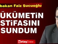 Sucuoğlu: "Hükümetin istifasını sundum"