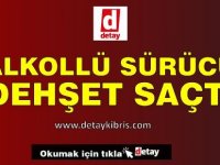 Alkollü Sürücü Dehşet Saçtı