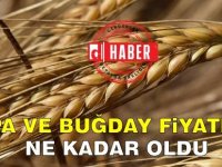 Arpa ve Buğday Fiyatları Belirlendi