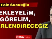 Sucuoğlu: Bekleyelim, görelim, değerlendireceğiz