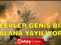 Karaca: Alevler geniş bir alana yayıldı, keşif yapılıyor, önünü alacağız