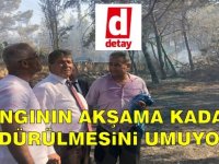 Üstel:Yangının akşama kadar söndürülmesini umuyoruz