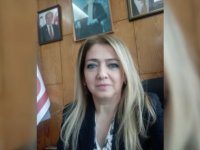 Ombudsman, Davulcu'nun raporunu yayınladı