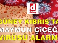 Güney'de maymun çiçeği virüsü alarmı!