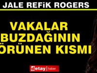 Rogers uyardı: Vakalar, buzdağının görünen kısmı