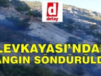 Alevkayası'ndaki Yangın Söndürüldü