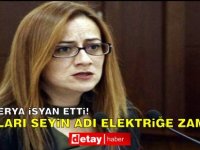 Derya: Yaptıkları Şeyin Adı Elektriğe Zam Değil