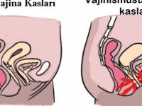 Cinsellikle İlgili Yanlış İnanışlar Vajinismusa Yol Açabilir