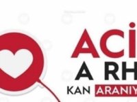 Acil kan aranıyor