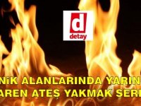 Orman Dairesi, yarından itibaren piknik alanlarında ateş yasağının kalkacağını duyurdu