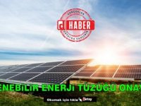 Yenilenebilir Enerji tüzüğü onaylandı