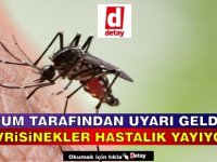 Rum Tarafından Hastalık Yayan Sivrisinek Uyarısı Geldi