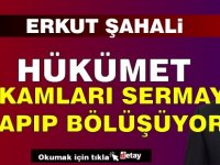 Şahali: Hükümet Makamları Sermaye Yapıp Bölüşüyor