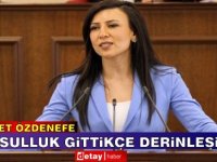 Özdenefe: Hükümet vatandaşların sesini duyamadı