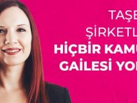 Nazlı: Taşeron Şirketlerin Hiçbir Kamusal Gailesi Yoktur