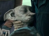 Harry Potter karakteri Dobby için çevrecilerden çağrı