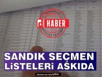 Yüksek Seçim Kurulu (YSK) sandık seçmen listelerini askıya aldı