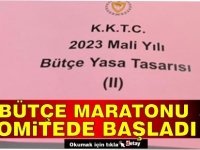 Bütçe maratonu komitede başladı