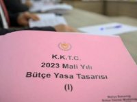 Meclis’te 2023 bütçesinin görüşülmesi yarın başlayacak