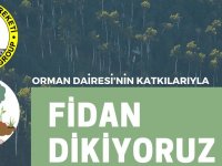 Yeşil Barış fidan dikecek