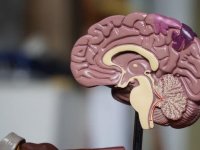 19 yaşındaki erkeğe Alzheimer teşhisi kondu: Dünyanın en genç vakası