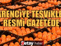 Narenciye İhracat Teşvikleri Resmi Gazetede