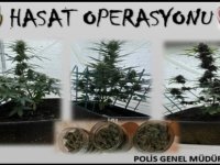 ‘Hasat’ operasyonu: 880 gram uyuşturucu ele geçirildi