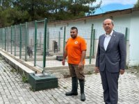 Cumhurbaşkanı Tatar, Girne’de köpek barınağını ziyaret etti