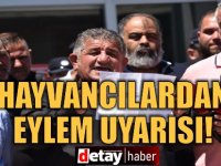 Hayvancılar eylem uyarısı yaptı!