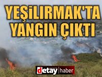 Yeşilırmak'ta Yangın Çıktı!