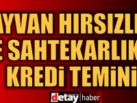 Hayvan Hırsızlığı ve Sahtekarlıkla Kredi Temini