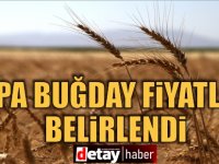 Arpa buğday fiyatları belirlendi: İthal edilecek sertifikalı tohumluğa verilecek destek yükseltildi